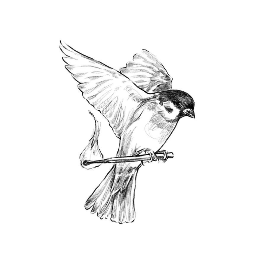 Torpe es un poema incluido en el poemario Atisbos de lucidez de Gloria Arriscado aka Falsos Interpretes. Atisbos de lucidez es el desvelo el primer poemario de Gloria Arriscado, alias Falsos Intérpretes donde realiza la búsqueda.