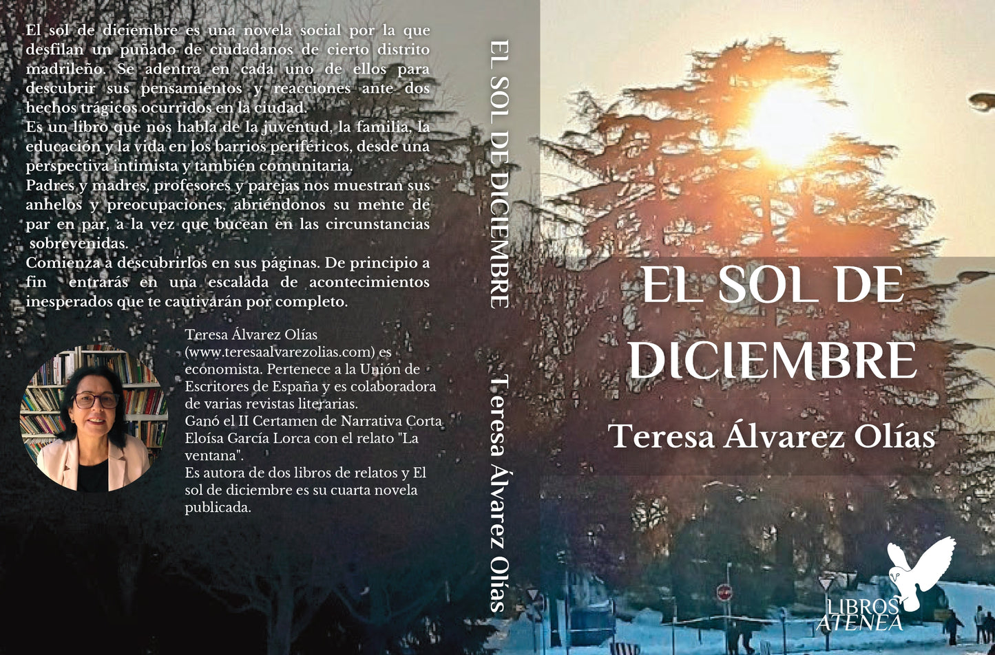 El sol de diciembre ▷ Teresa Álvarez