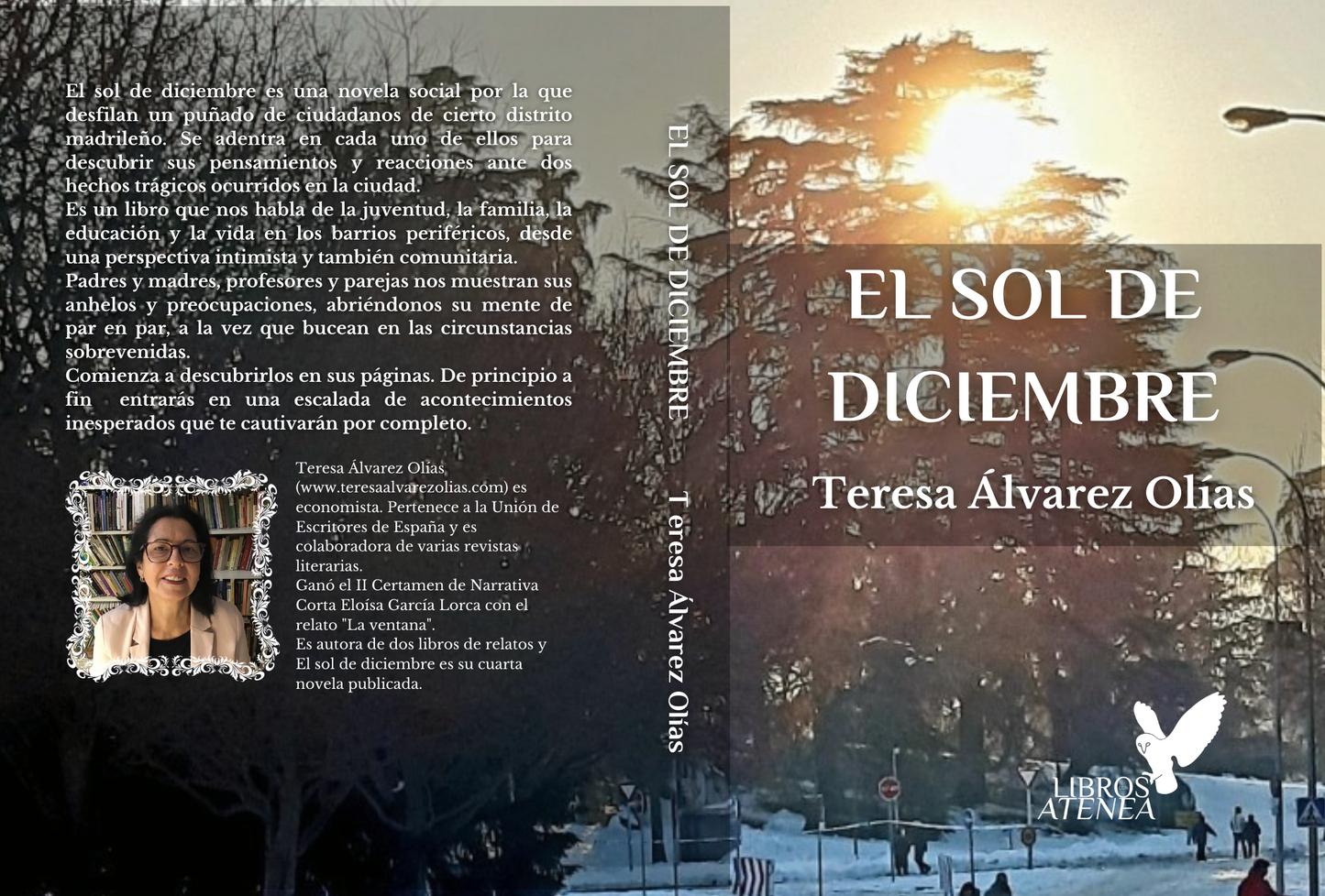 El sol de diciembre  ▷ Teresa Álvarez